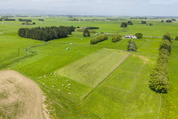 1331 Rongotea Road Kairanga_22