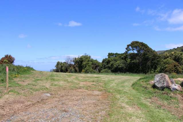 Blank Canvas Surrounded by Bush