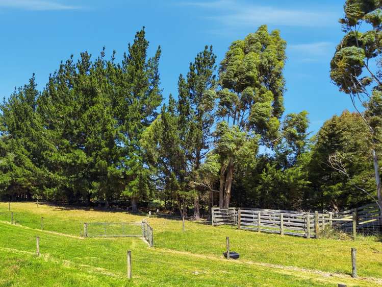 364 Boundary Road Loburn_21