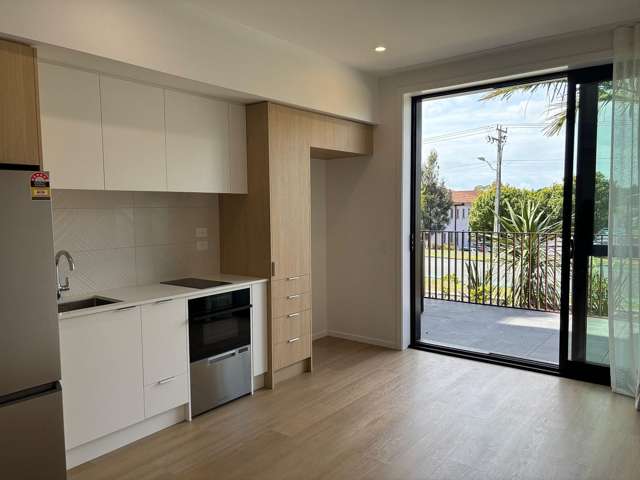 G02/2B Te Ara Taurapa Point Chevalier_2