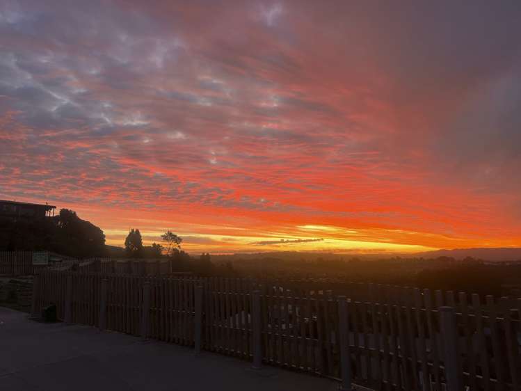 8 Eventide Way Bellevue_25