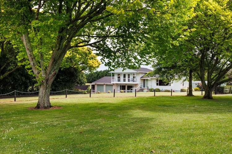 125 Tutaki Road Kelvin Grove_19