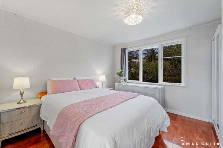 18 Boyce Avenue Mount Roskill_5