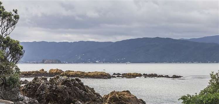 303 Karaka Bay Road Karaka Bays_33