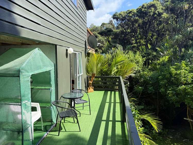 169 Shoal Bay Road Great Barrier Island_15