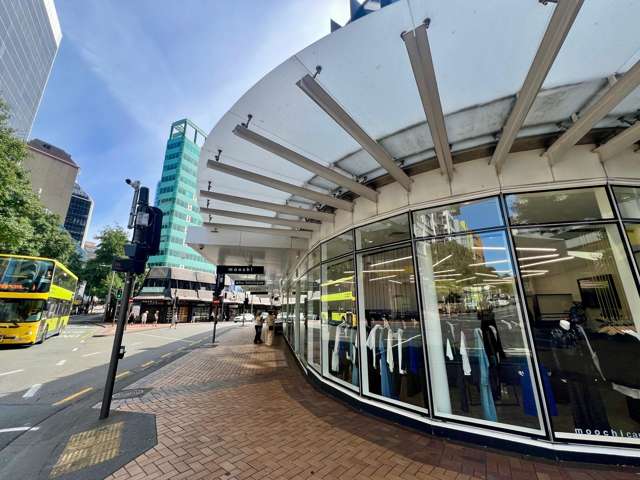 115 Victoria Street Te Aro_2