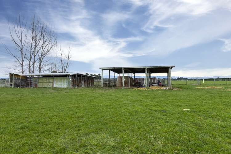 227 Foley Road Kerrytown_11