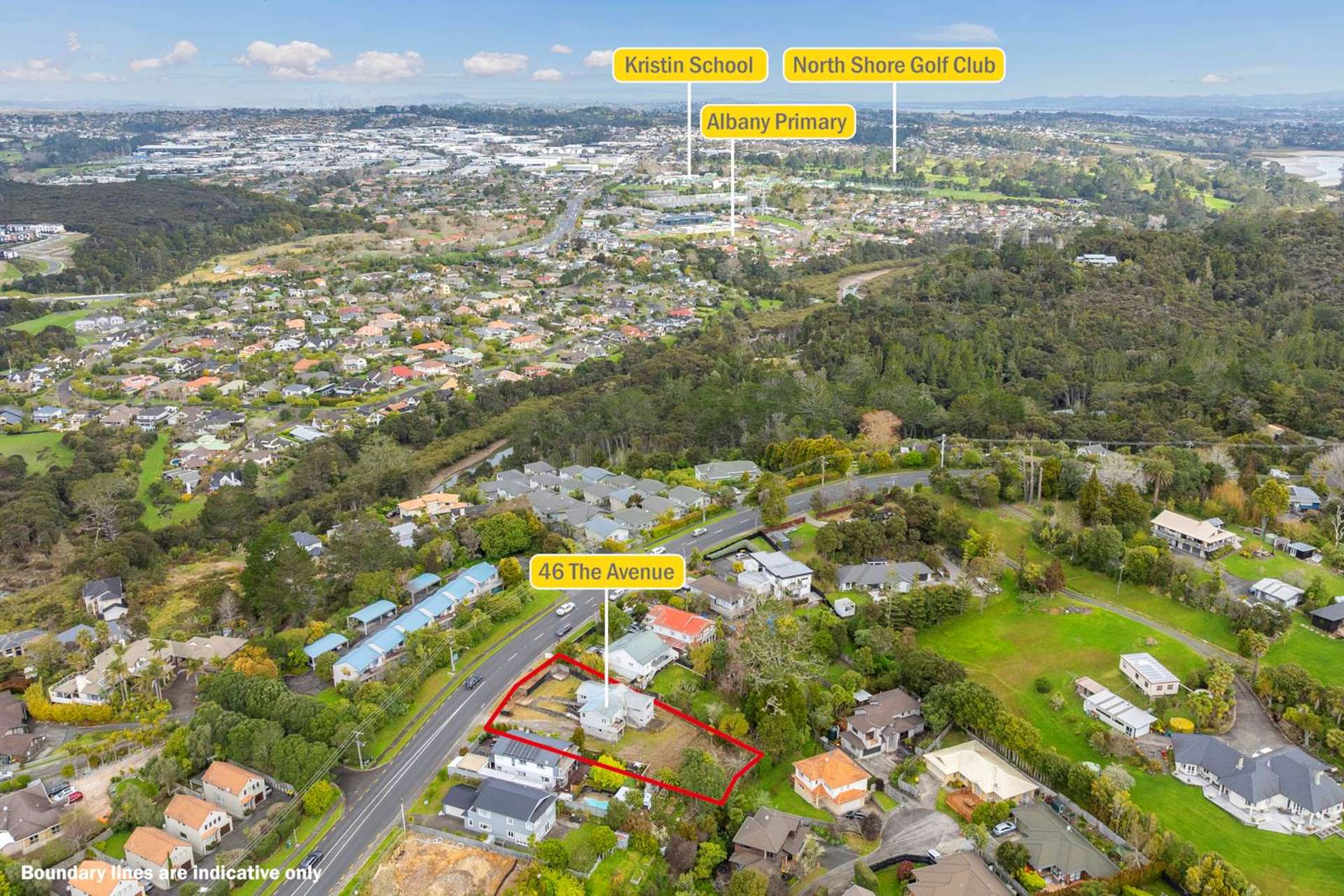 46 The Avenue Albany_0