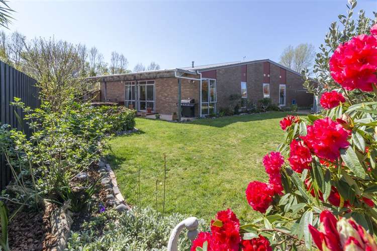 11 Collins Drive Waikuku Beach_1