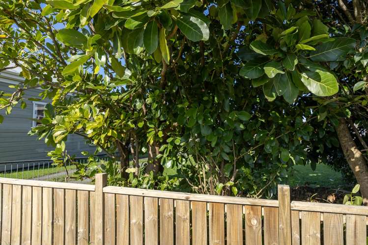 67 Jervois Street Dargaville_12
