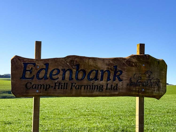 125B Davidson Road Mimihau_18