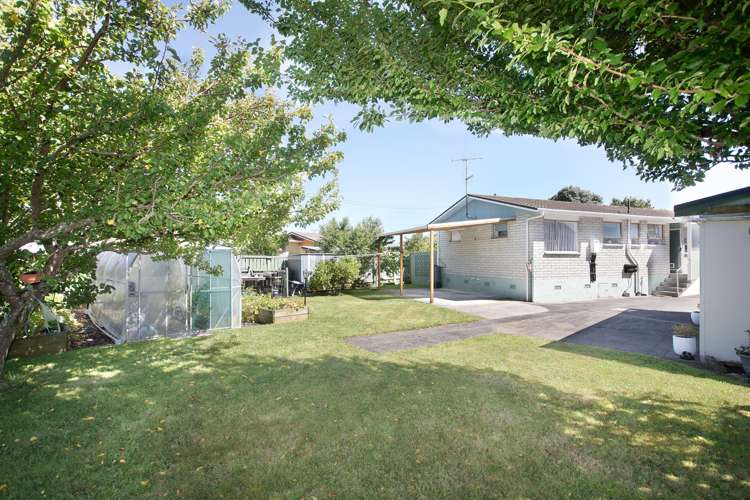 21 Flower Street Bulls_14