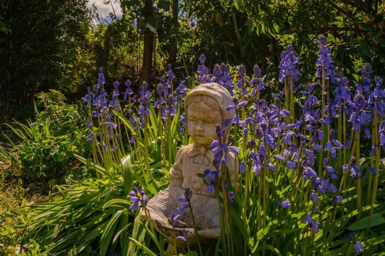 49 Main Sh25 Road Tairua_22