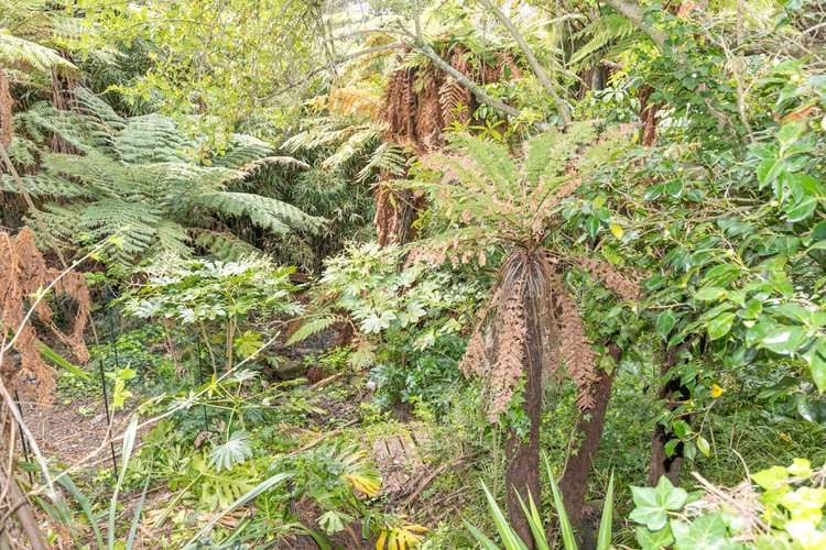 26a Braid Road Saint Andrews_13