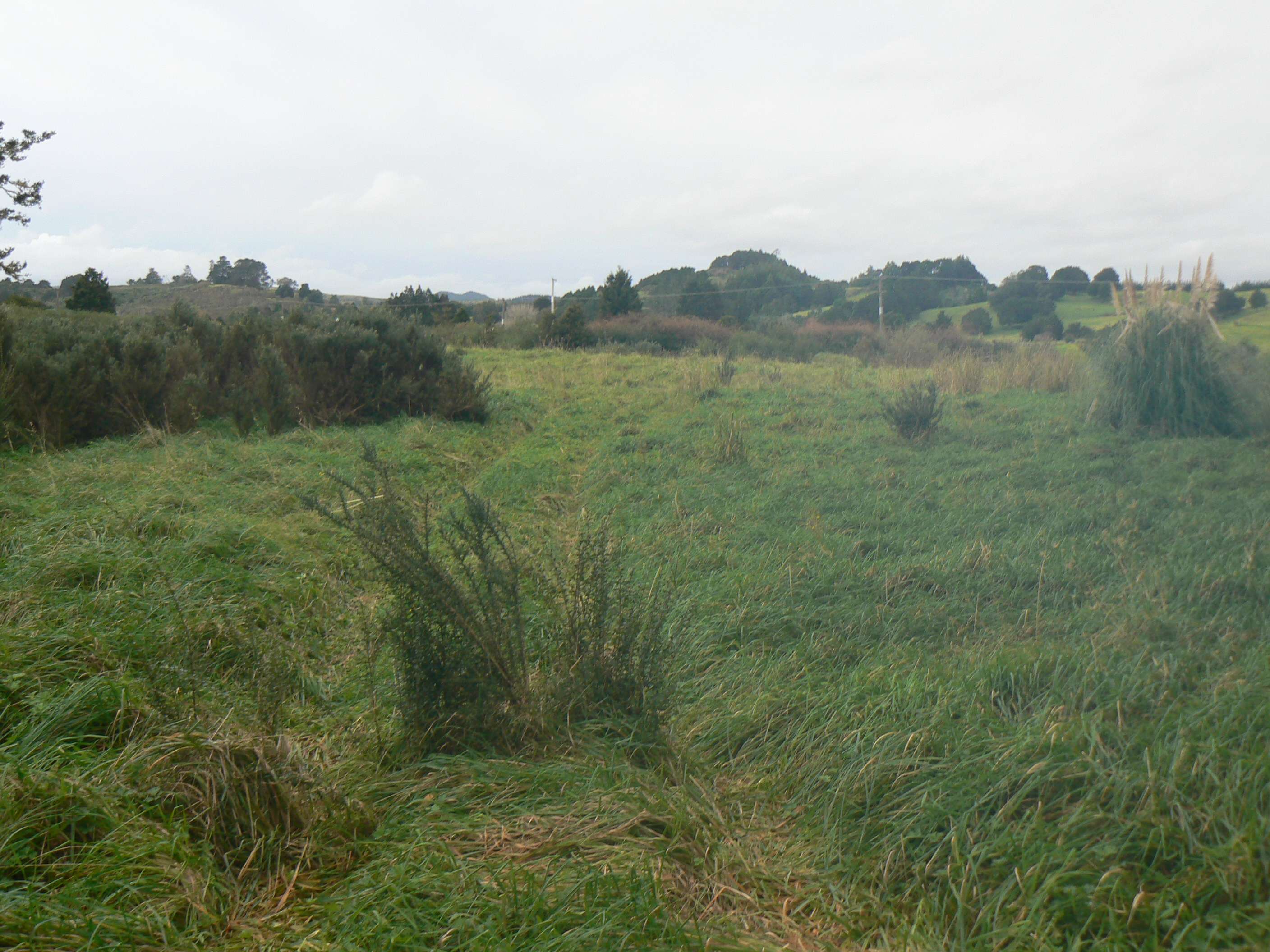 6084 Mangakahia Road Tautoro Far North Rural Property For Sale