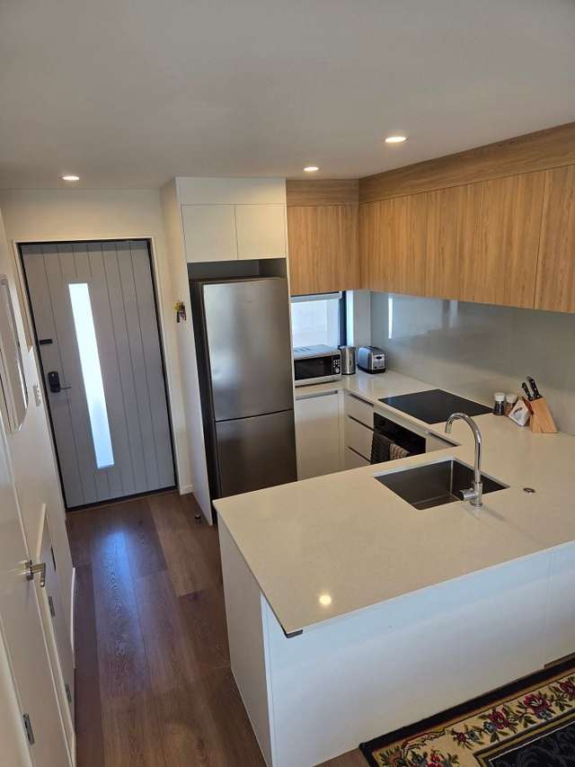 78 Selo Street Glen Eden_1