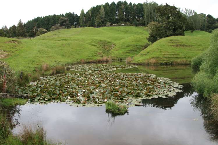 200 Tahora Road Tahora_8