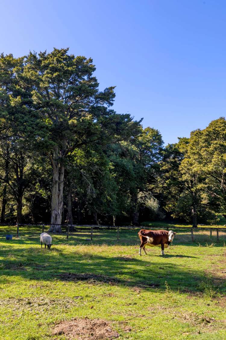 145b Helenslee Road Pokeno_40