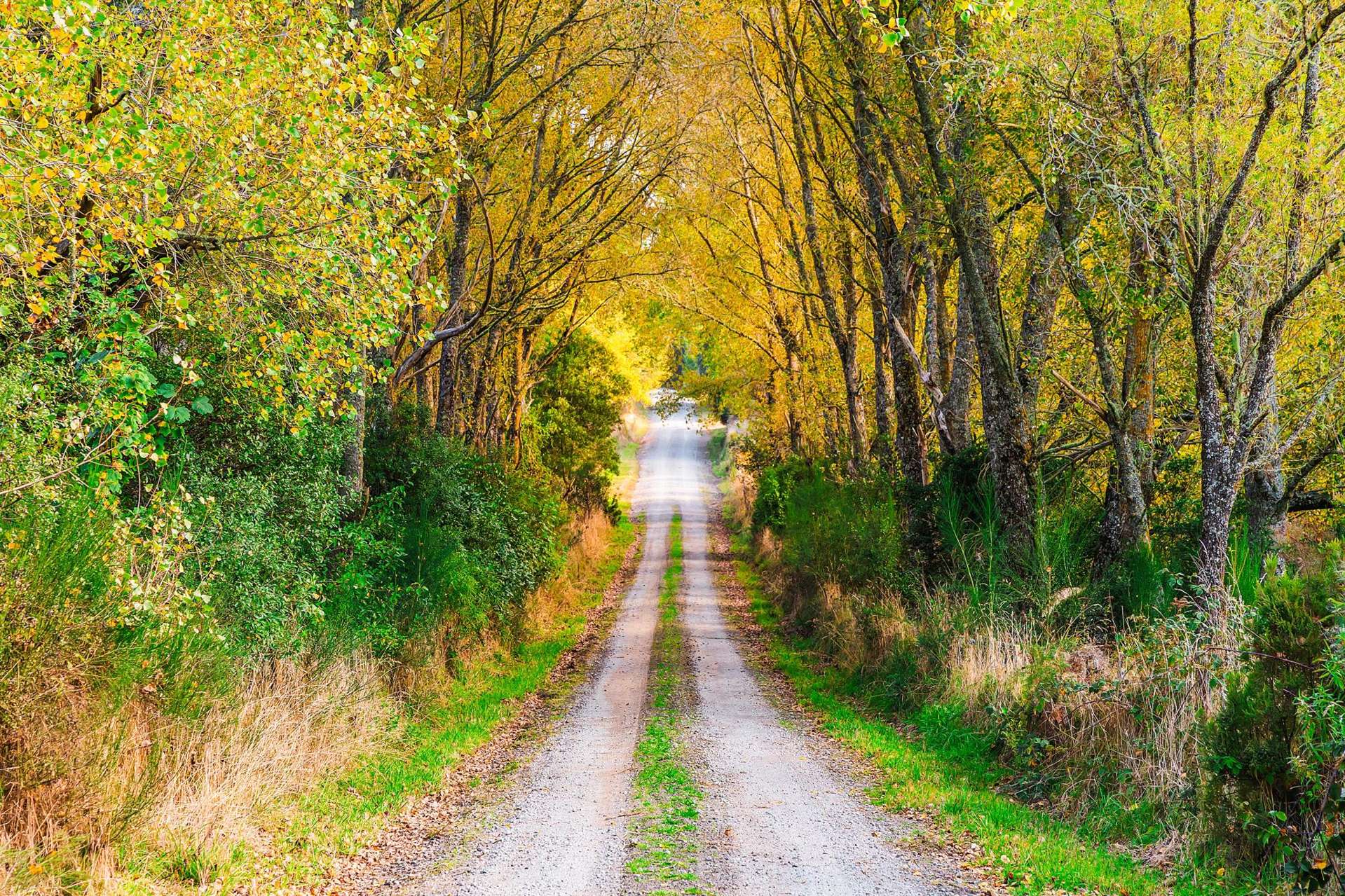 336 Puketapu Road Marotiri_0