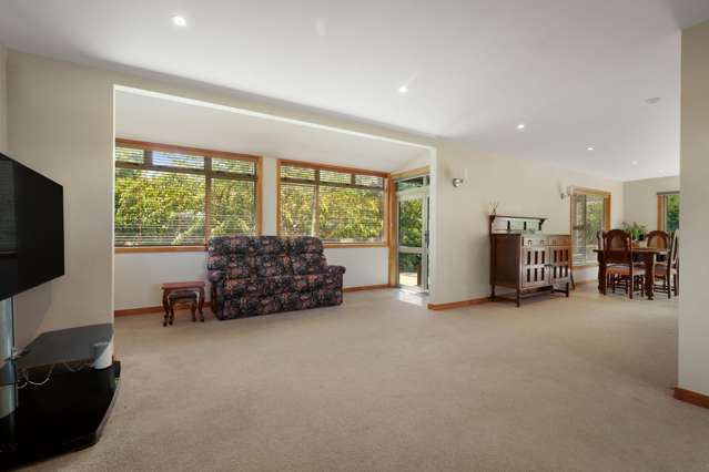 207 Jellicoe Lane Thames_4