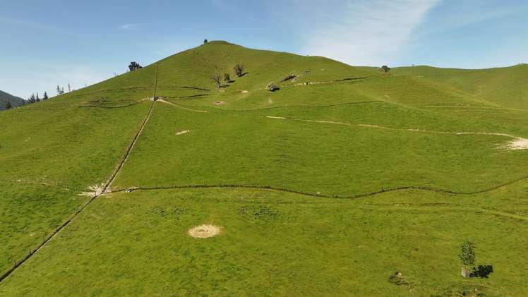 200 Upper Stanley Brook Stanley Brook_15