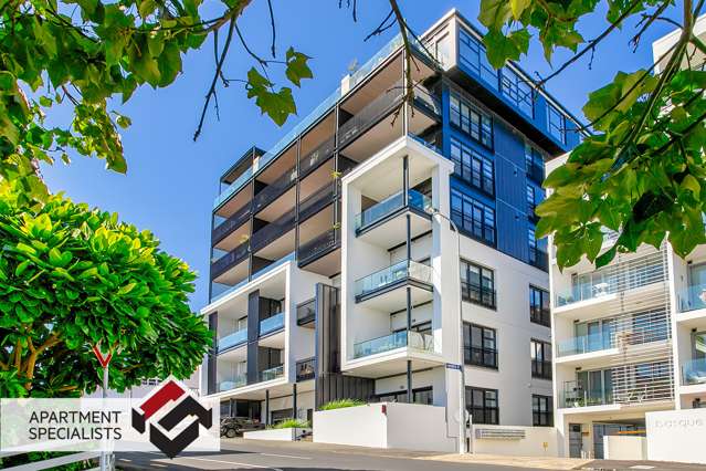 13 Dundonald Street Eden Terrace_2