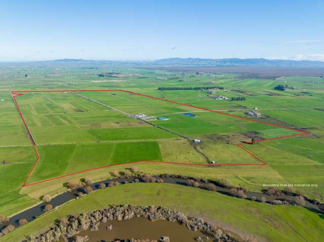 355 Endowment Road Te Aroha_4