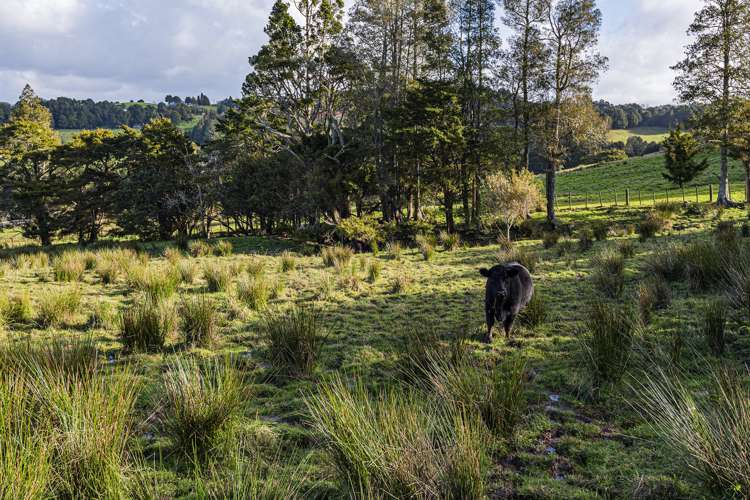 63a Pukenui Road Maunu_26