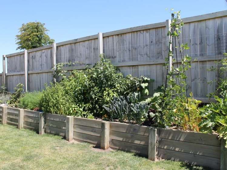 13 Carnoustie Place Morrinsville_10