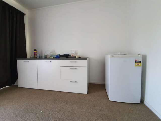 55 Richard Farrell Avenue Remuera_4