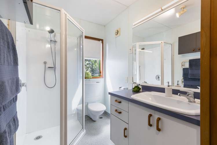 6 Koromiko Road Aro Valley_12