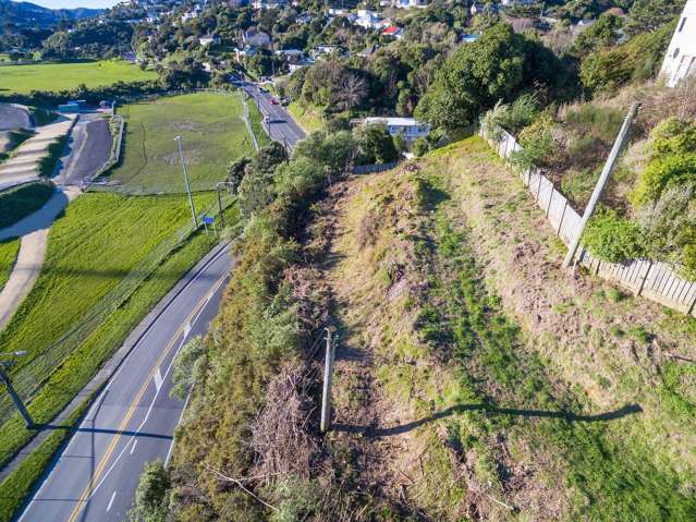 78 Curtis Street Northland_1