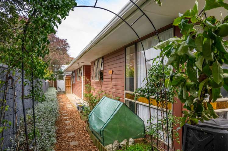 83 Shamrock Street Takaro_18