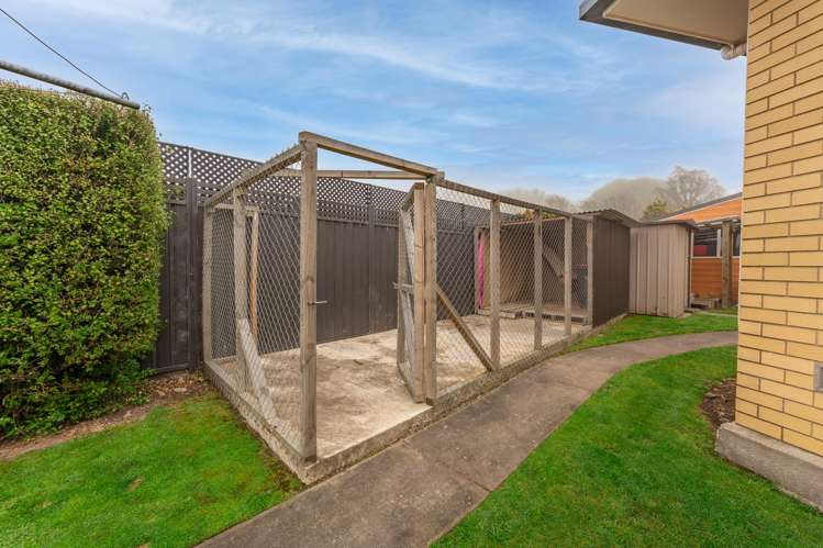 5 Williamson Place Geraldine_34