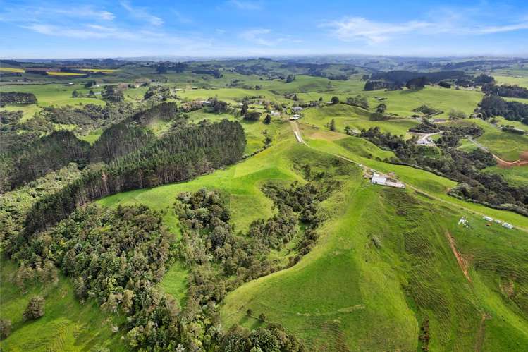 352 Kauri Road Onewhero_25