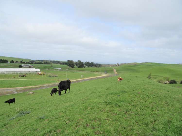 76412 State Highway 2 Rangitikei Surrounds_7