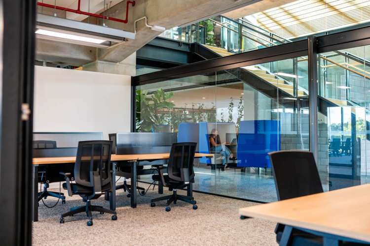 74-78 Taharoto Road Takapuna_10