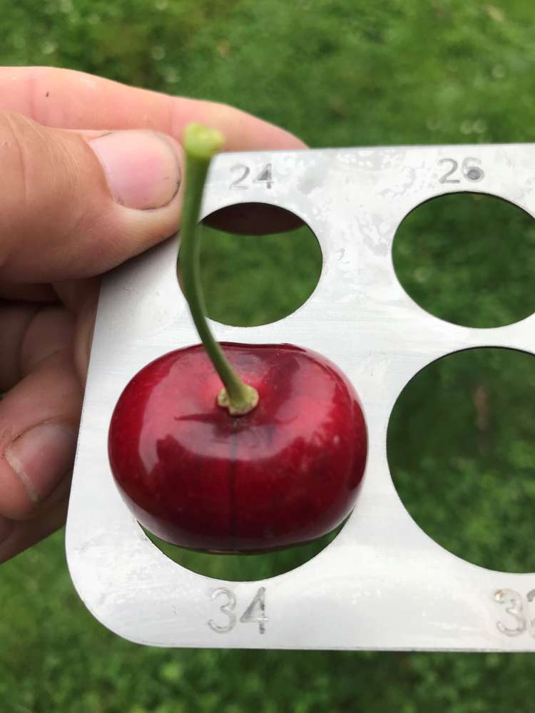 Mount Pisa Road Cromwell_9