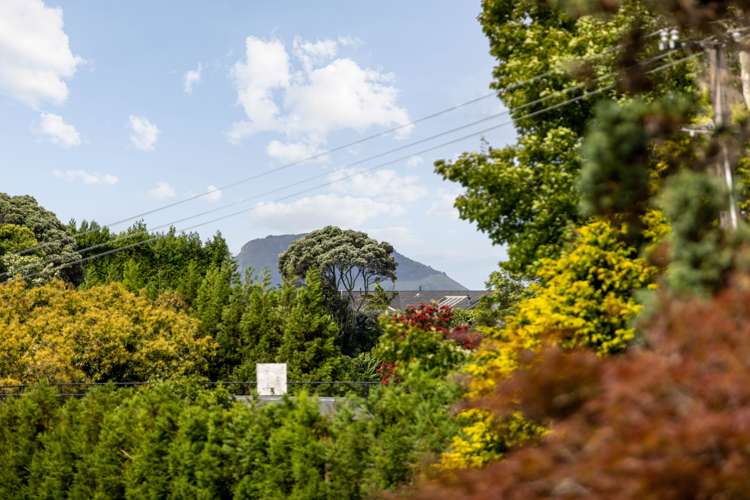 151 Snodgrass Road Te Puna_7