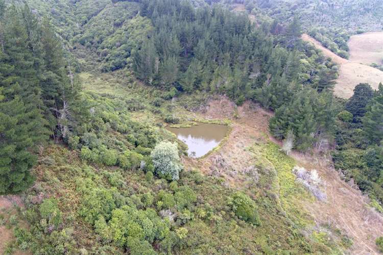 572 Riwaka Valley Road Motueka_11