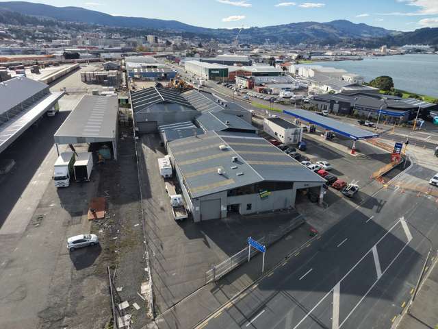 33 Strathallan Street South Dunedin_1