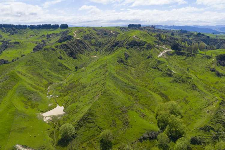 1250 Kaukatea Valley Road Okoia_22