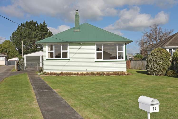 14 Ward Street Bulls_19