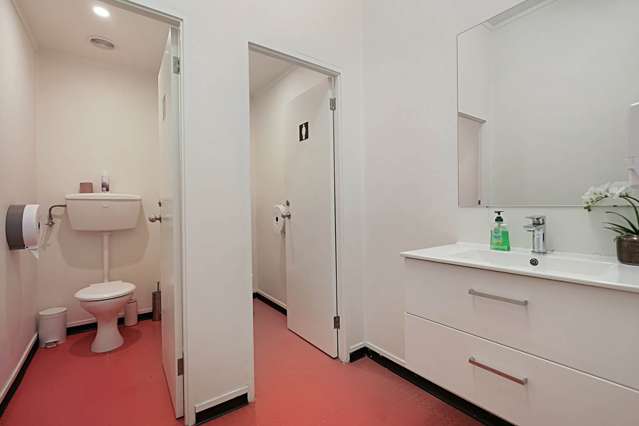 4 Dundonald Street Eden Terrace_1