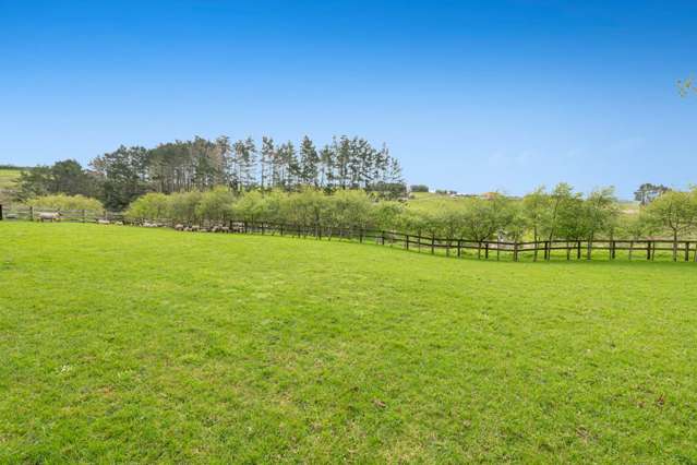 298 Rimmer Road Helensville_4