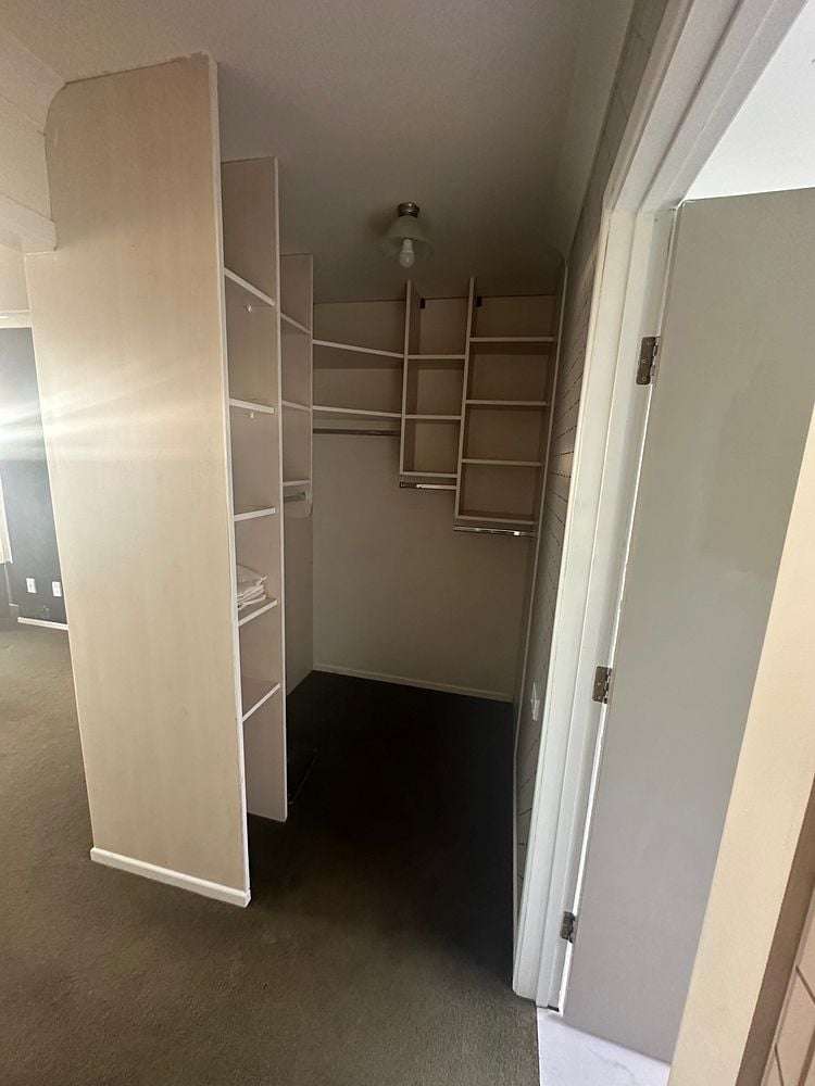 188 Browns Bay Road Browns Bay_11