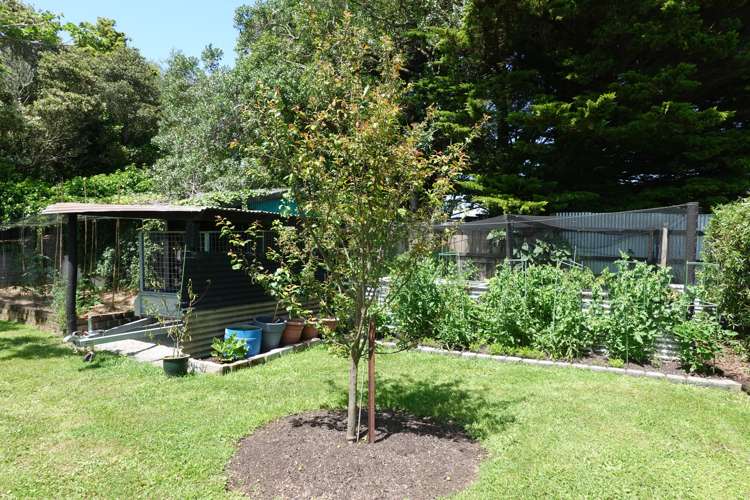 602 Hokio Beach Road Hokio Beach_25