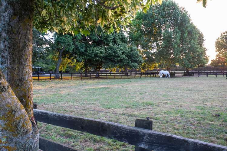 5 Hunter Lane Cambridge_17