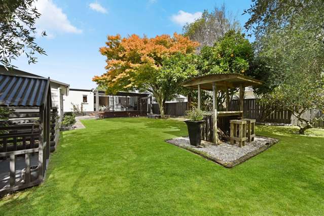 80 Rimu Street Maeroa_2