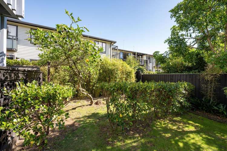 251D Bridge St The Wood_5